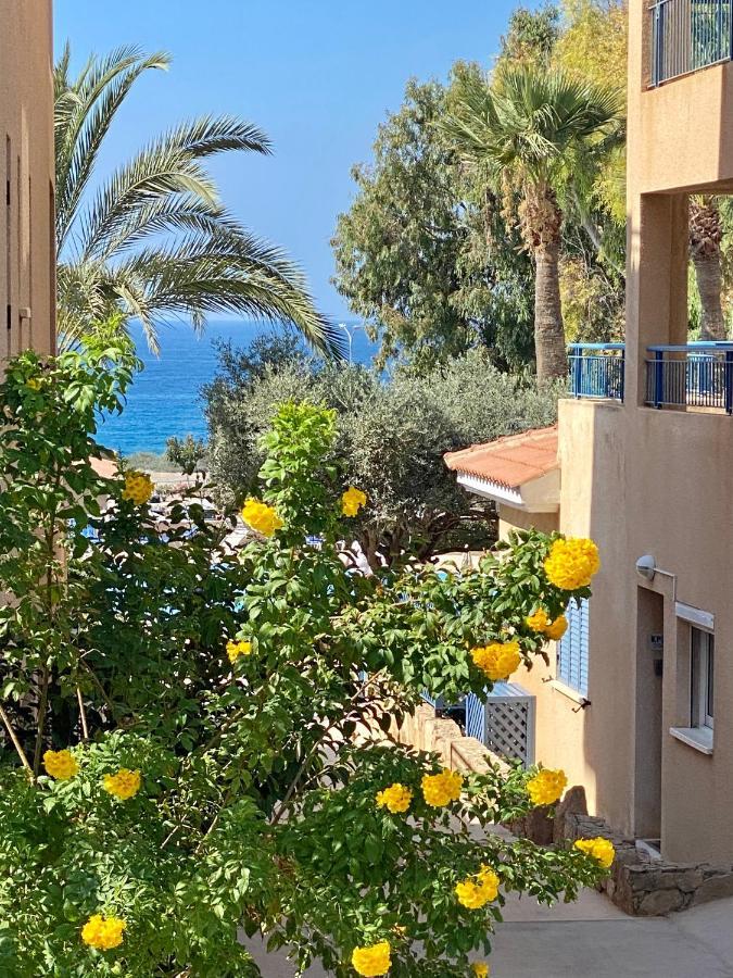 Beautiful Apartment Near The Sea And A Large Private Garden 파포스 외부 사진